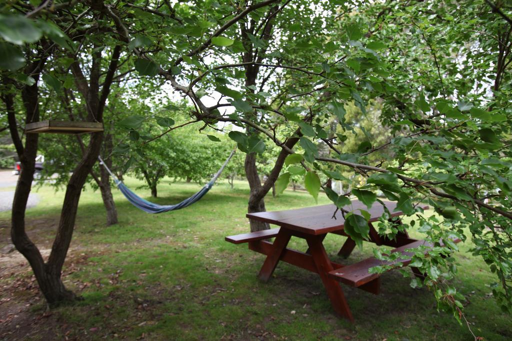 Tranquil Point Guest House Cygnet ภายนอก รูปภาพ