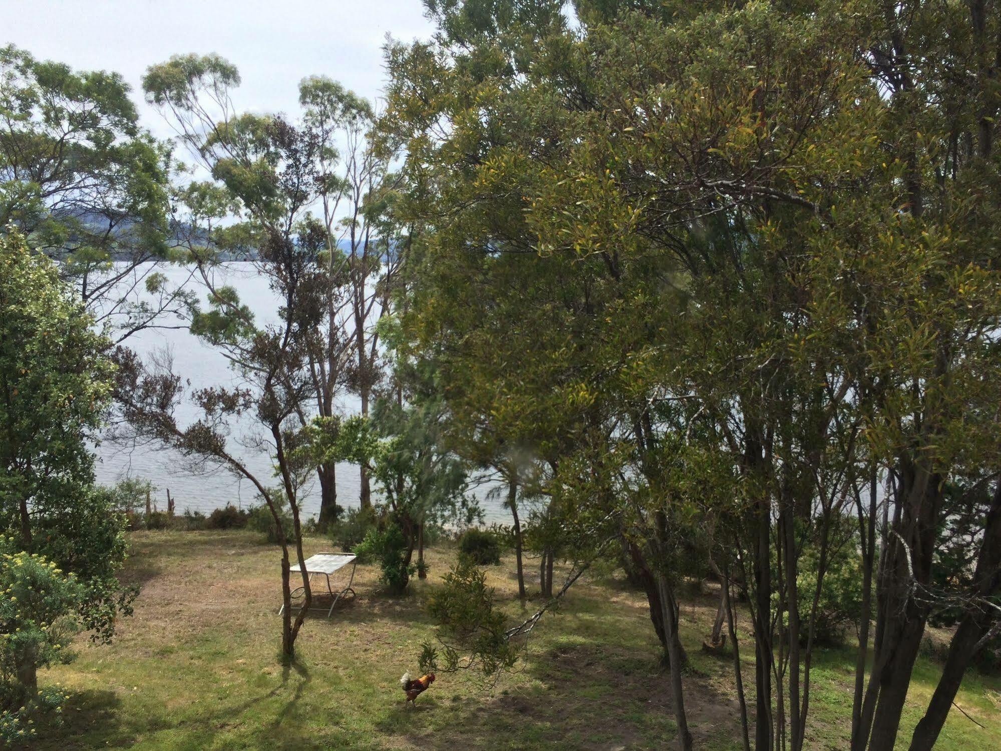 Tranquil Point Guest House Cygnet ภายนอก รูปภาพ